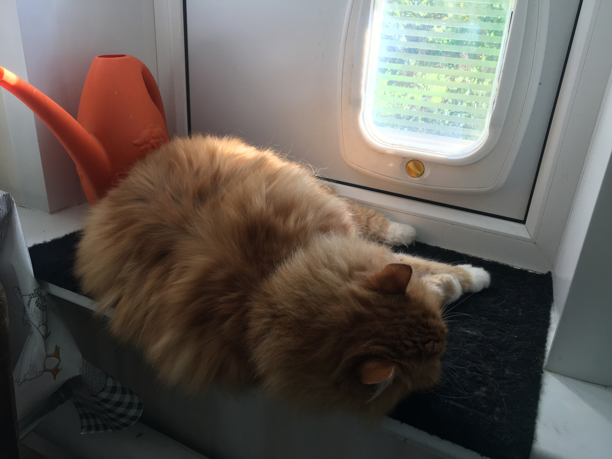 Фото автора