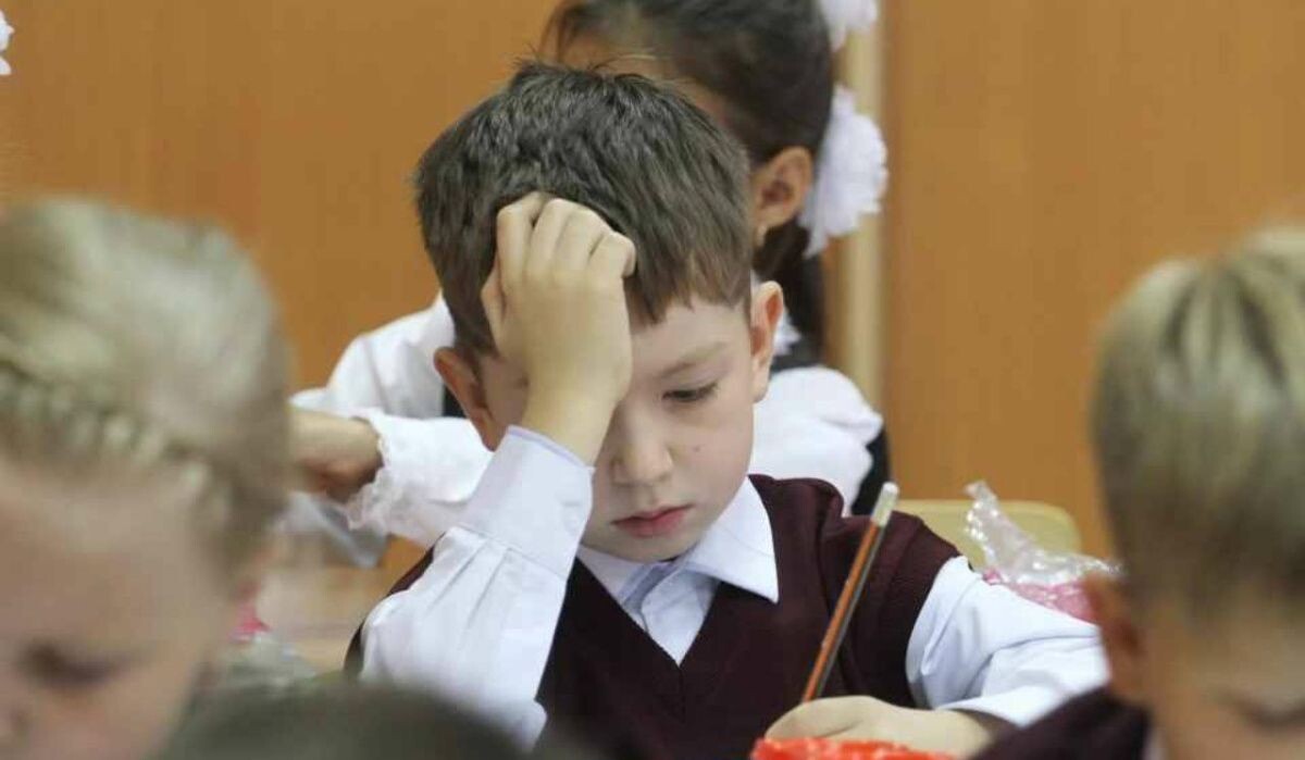     Школьники. Источник: kp.ru Автор фото: Юлия Пыхалова