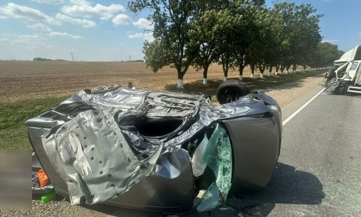    Фото t.me/mvd_23