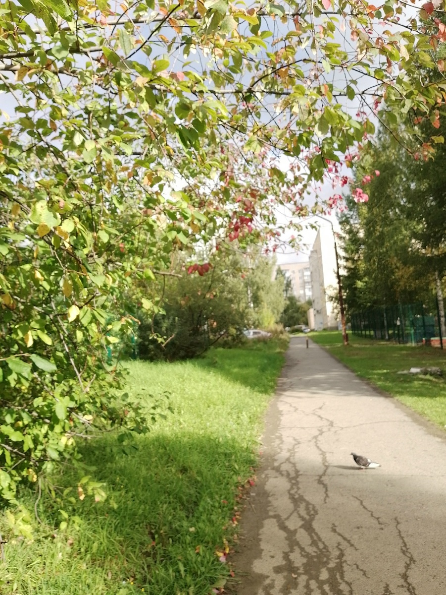 Утро 28 августа