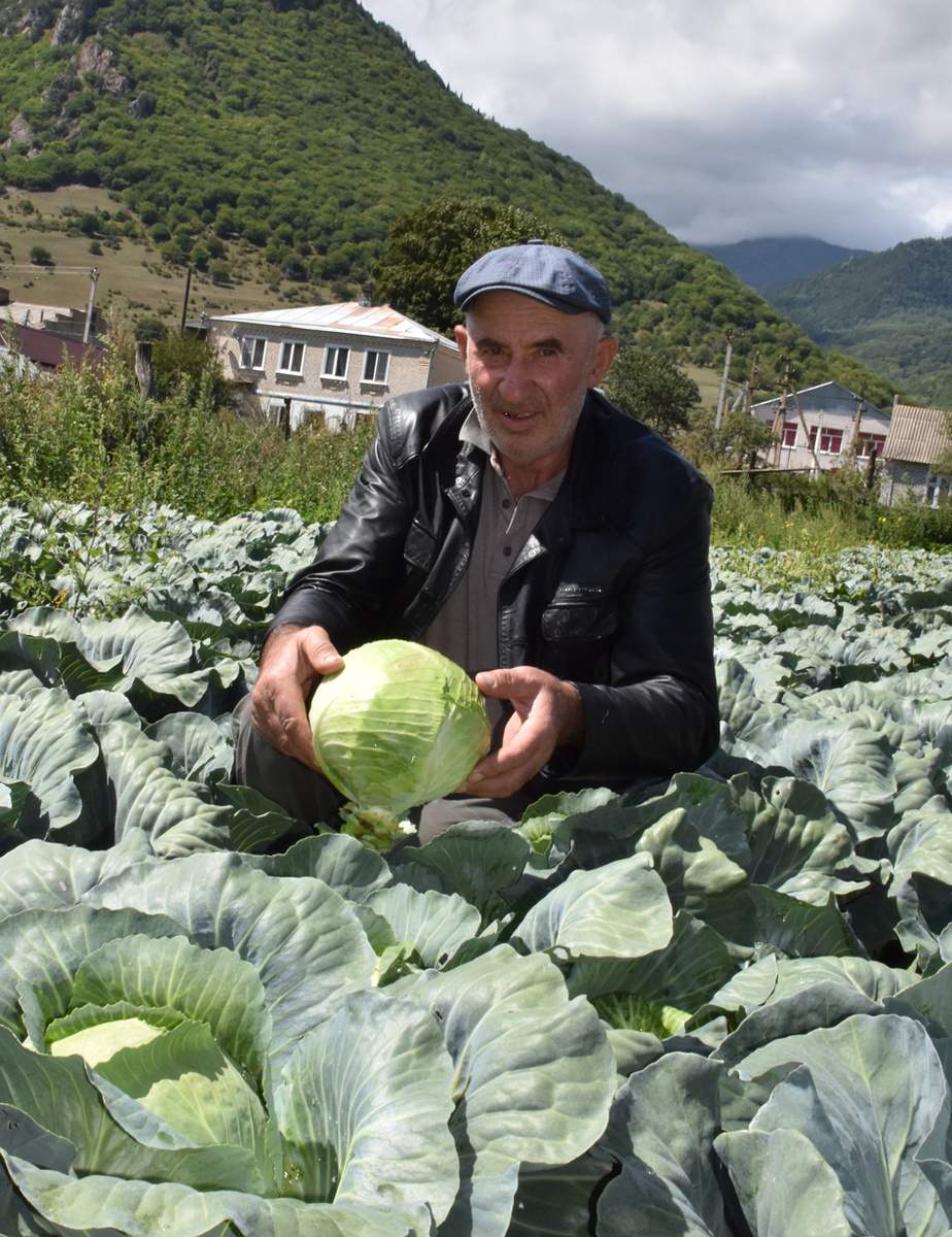 Магомед Джуккаев: «Хороша же наша тебердинская белокочанная!». Фото Светланы КИЛБА.