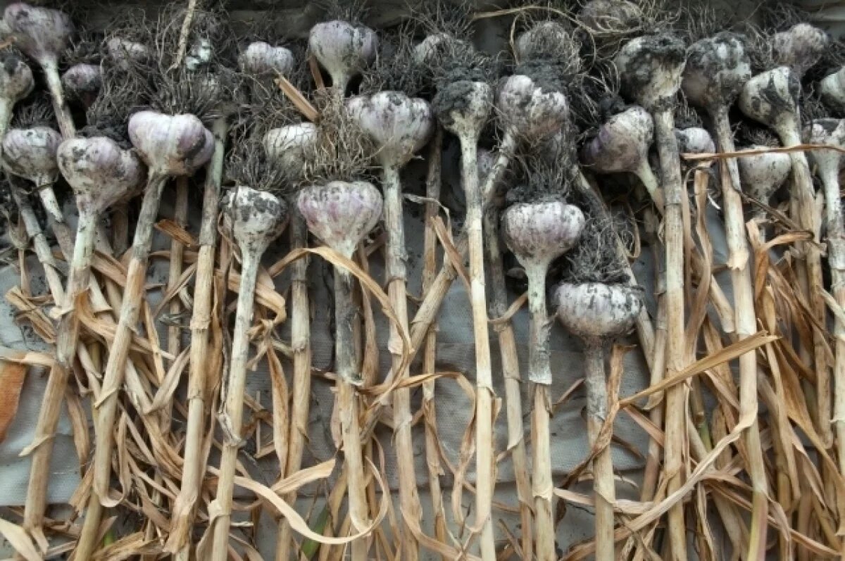    На Урале Роспотребнадзор забраковал 27% фруктов и овощей