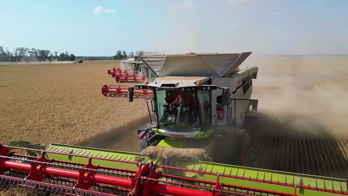    Фото: телеканал «Краснодар»