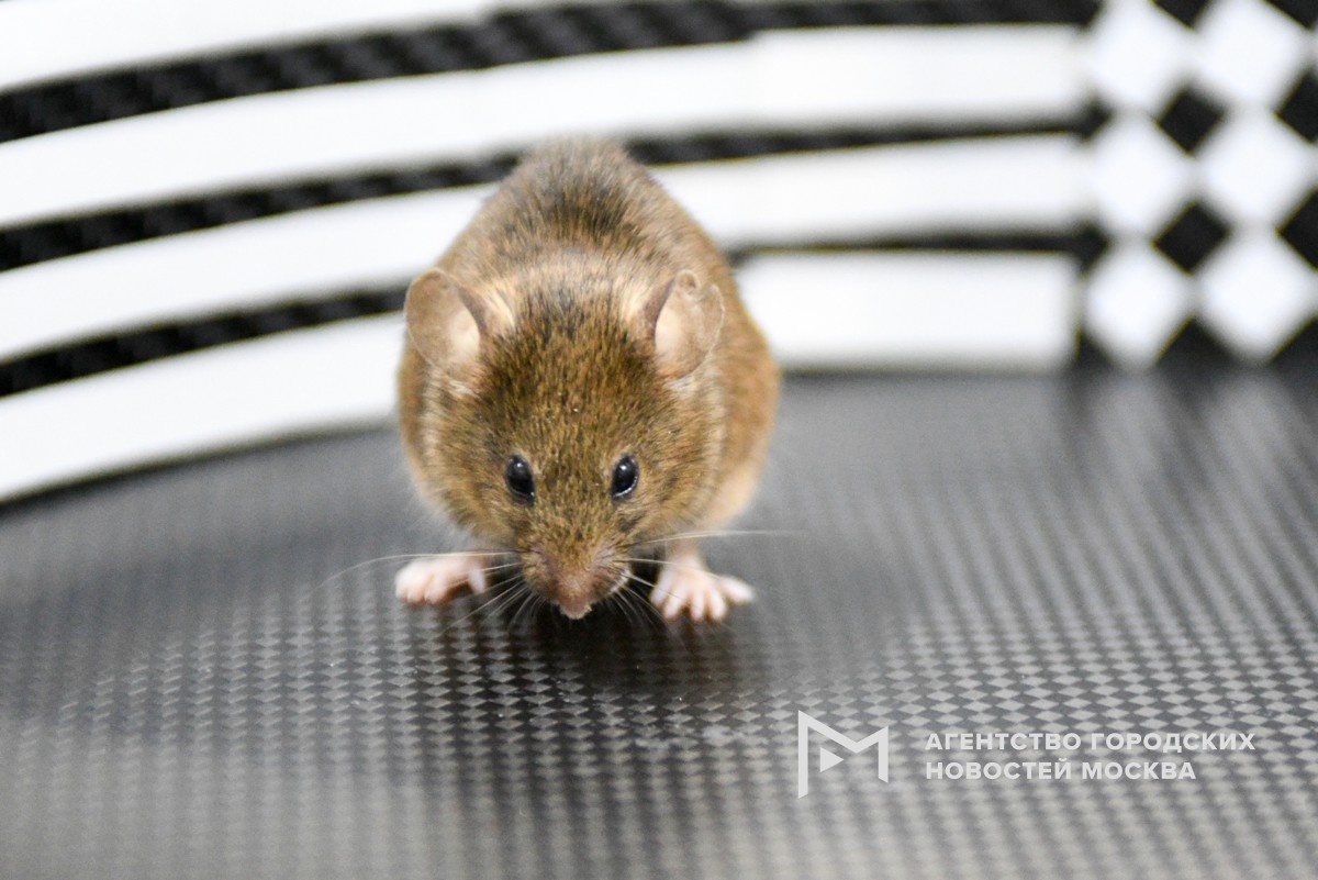 Фотограф: Игорь Иванко