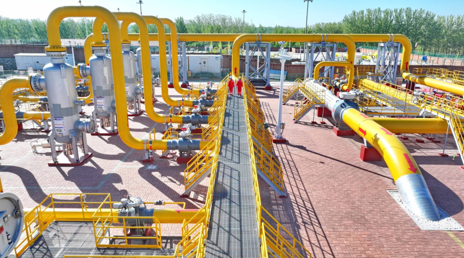    Cfoto/Global Look Press