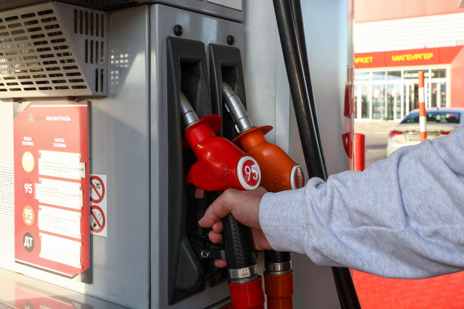    Наталья Шатохина/NEWS.ru