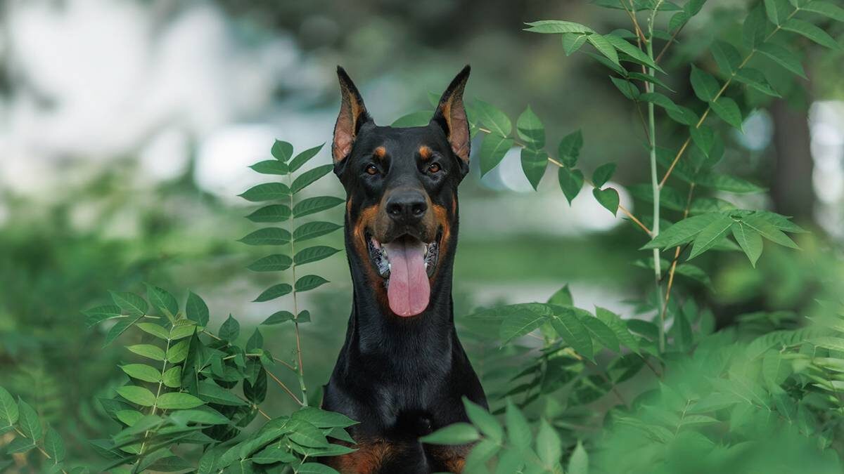    Фото: Shutterstock