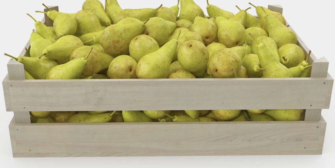 Как хранить груши, чтобы они дозрели и стали медовыми