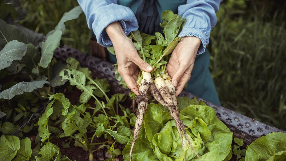 Здесь и далее фото ShutterStock/Fotodom.ru