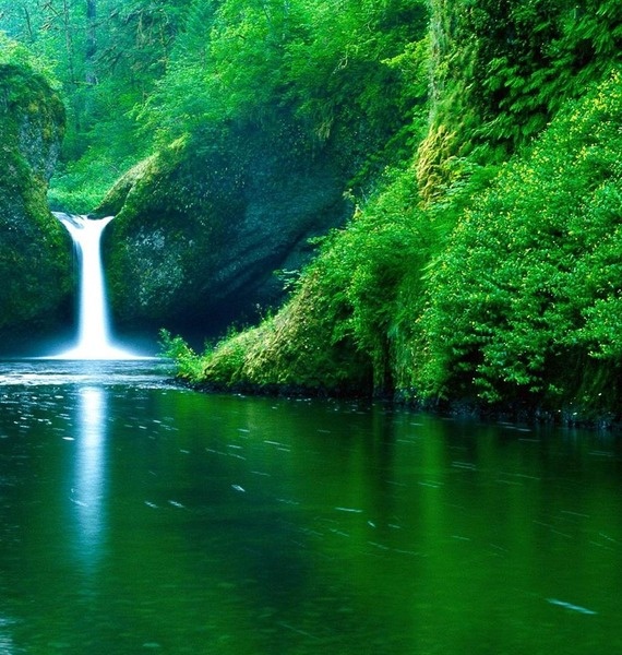 (изображение отсюда: https://awaretravel.ru/index.php/ru/chakras32/04-anahata-chakra)