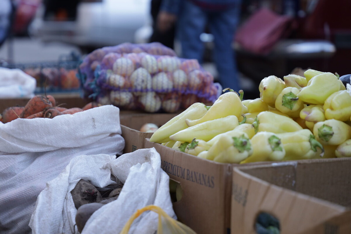    Фото: ТРК Таврия