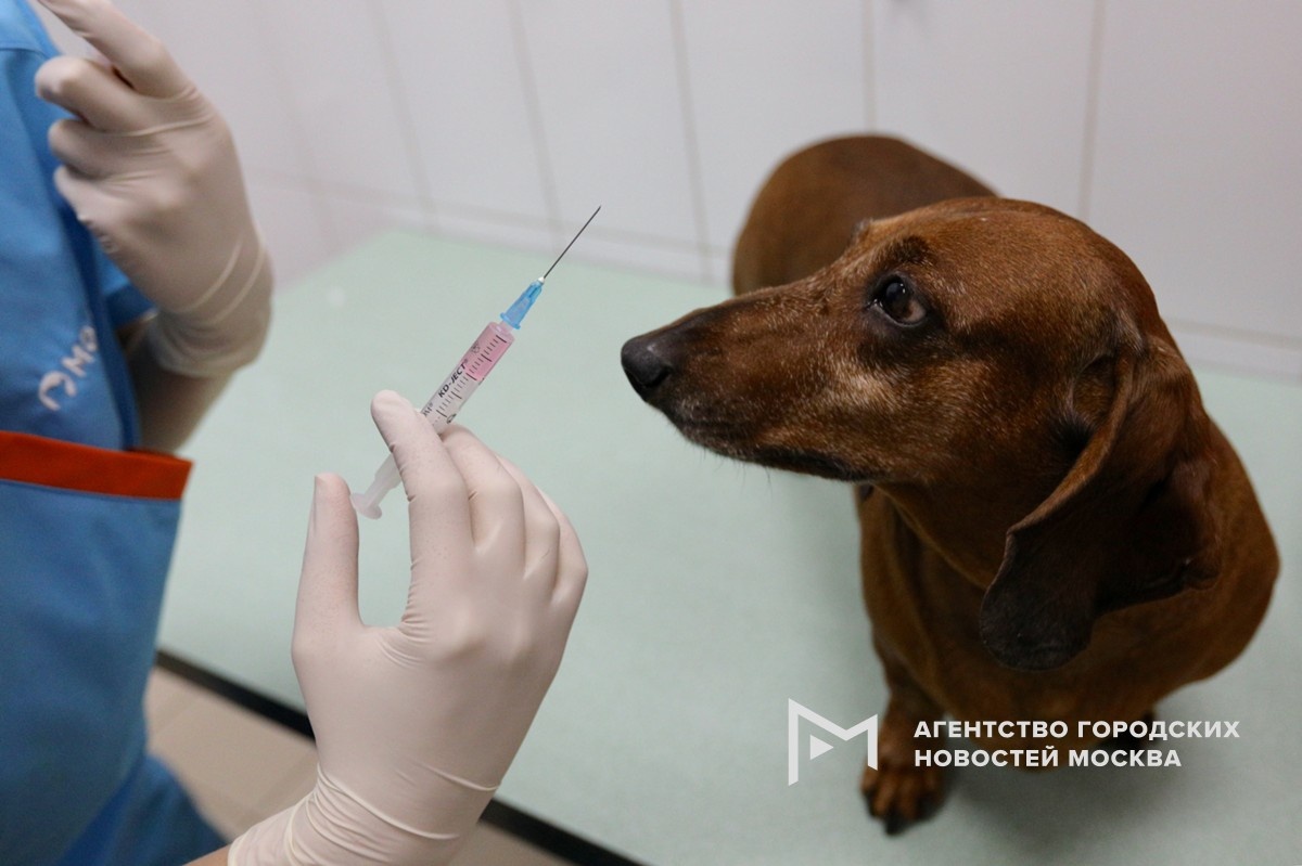 Фотограф: Кирилл Зыков