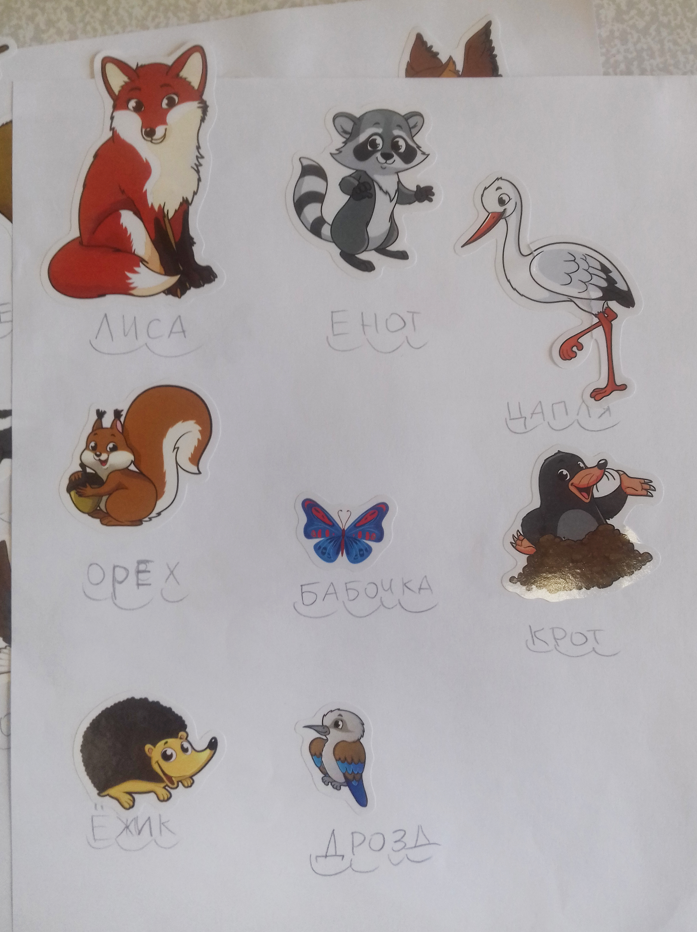 Задания на чтение: прочитать слово и найти соответствующую наклейку