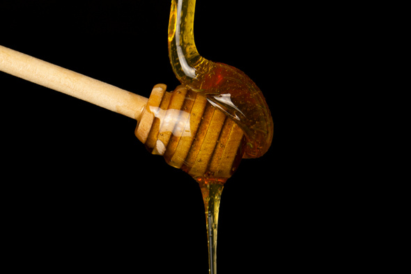     Mahdi Kordi/unsplash