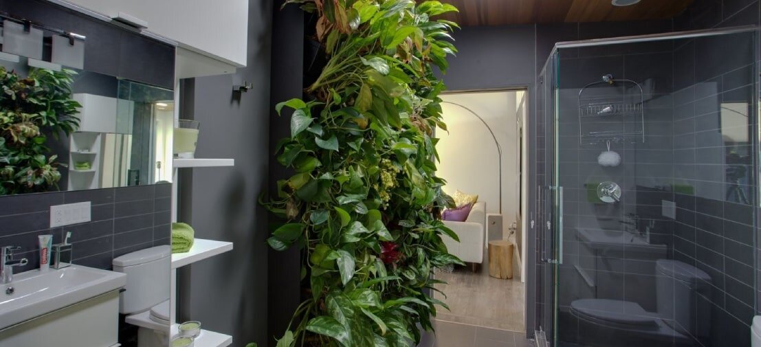 Эффектный вид - основа дизайна (фото из интернета)