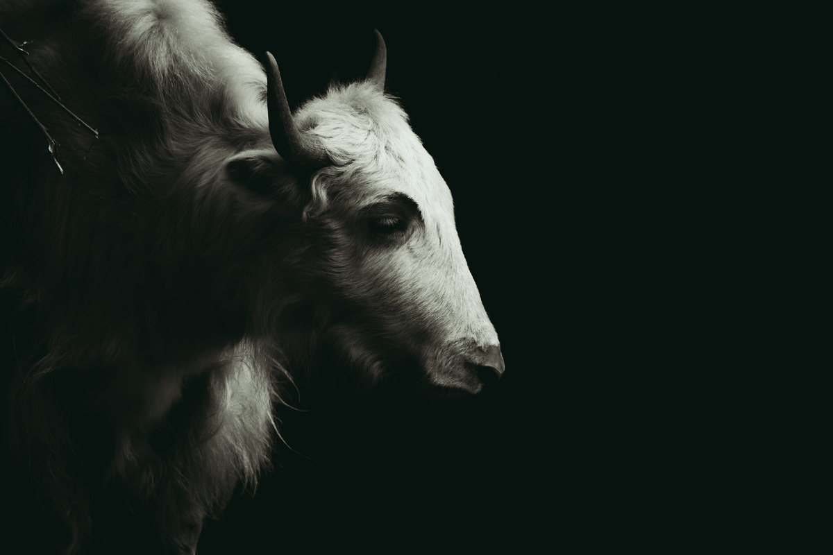 Зато видим смысл разместить тут вот эту красивую фотографию. Красивую же?...