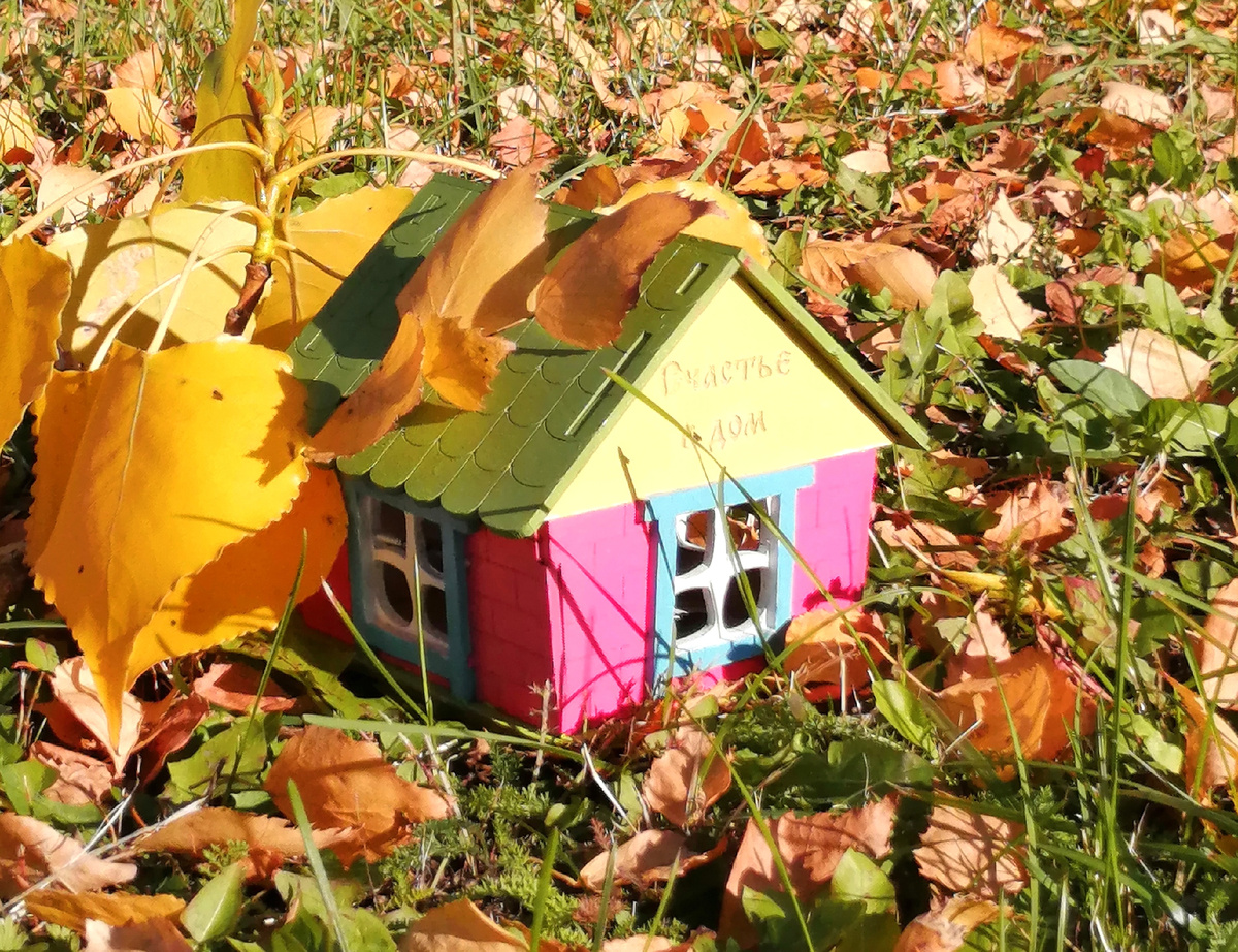 Фото ©Г.Шаронина