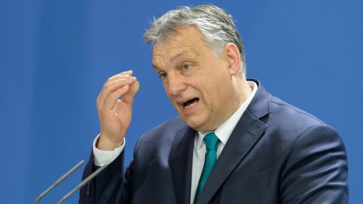    Фото: photocosmos1 / Shutterstock/ ФОТОДОМ