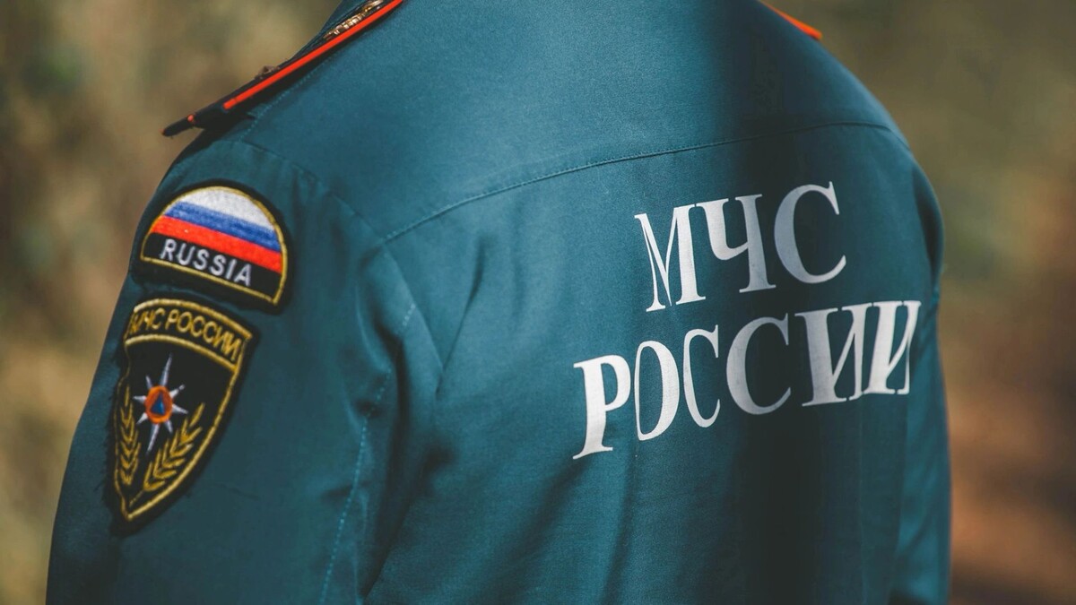    Фото: Dizzy_Studio/Shutterstock/Fotodom