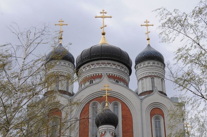    Фото: Александр Зинченко