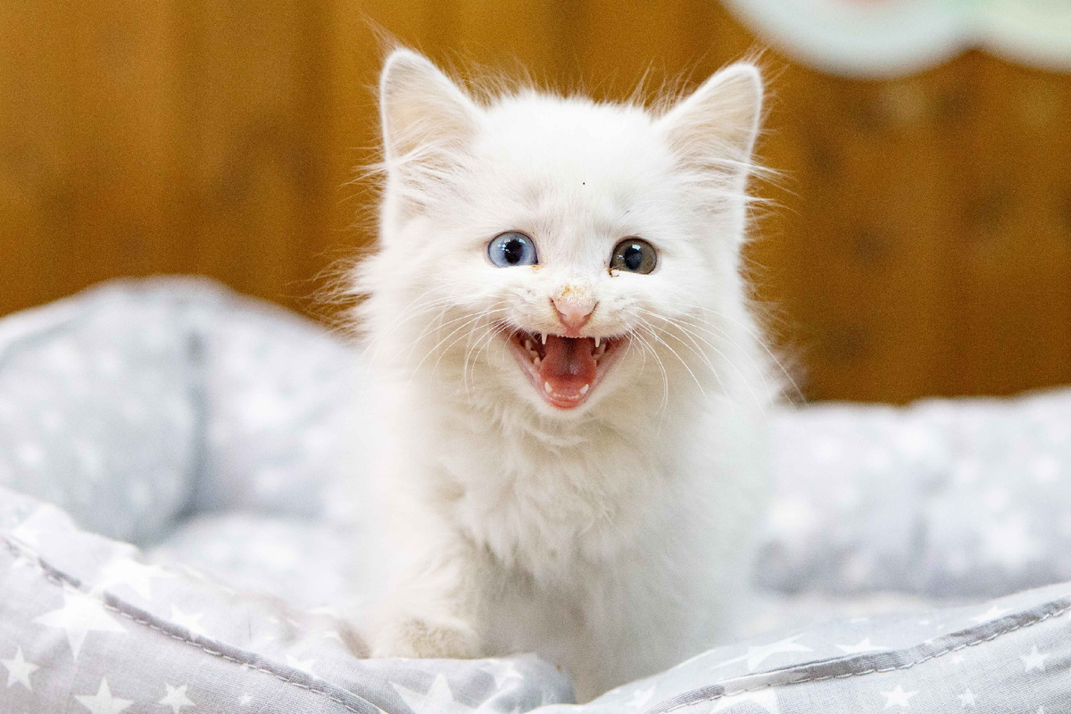 Наша главная задача сейчас — вернуть малышу веру в людей и создать комфортные условия для его роста и развития