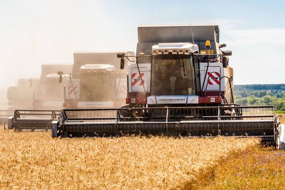    Фото: Министерство сельского хозяйства и продовольствия Республики Мордовия