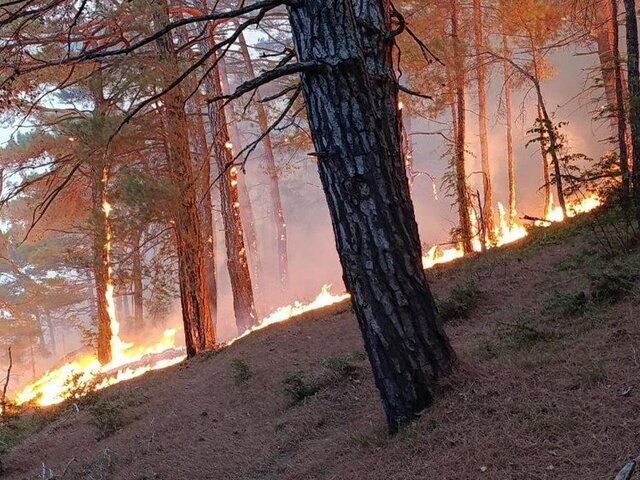   Фото: телеграм-канал "Оперативный штаб – Краснодарский край"