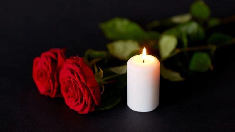    Фото: Ground Picture/Shutterstock/Fotodom