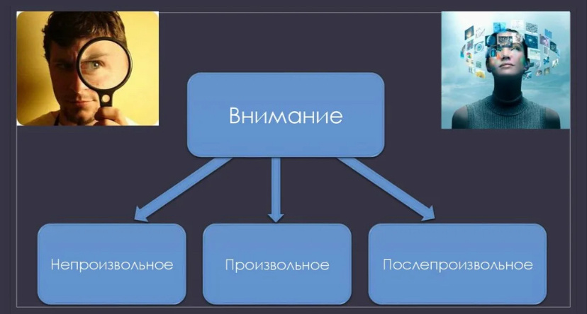 Ещё одна классификация /Изображение из открытых источников. 