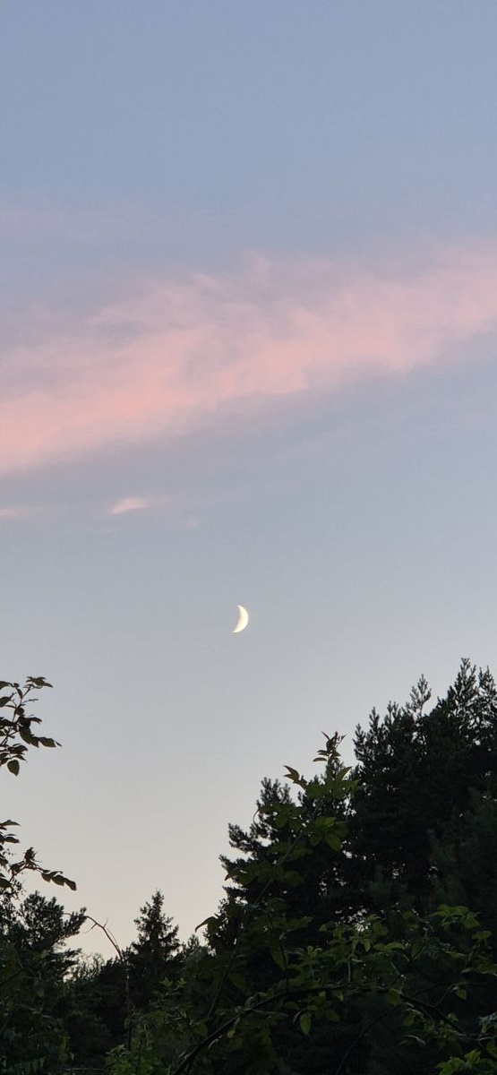 фотография автора