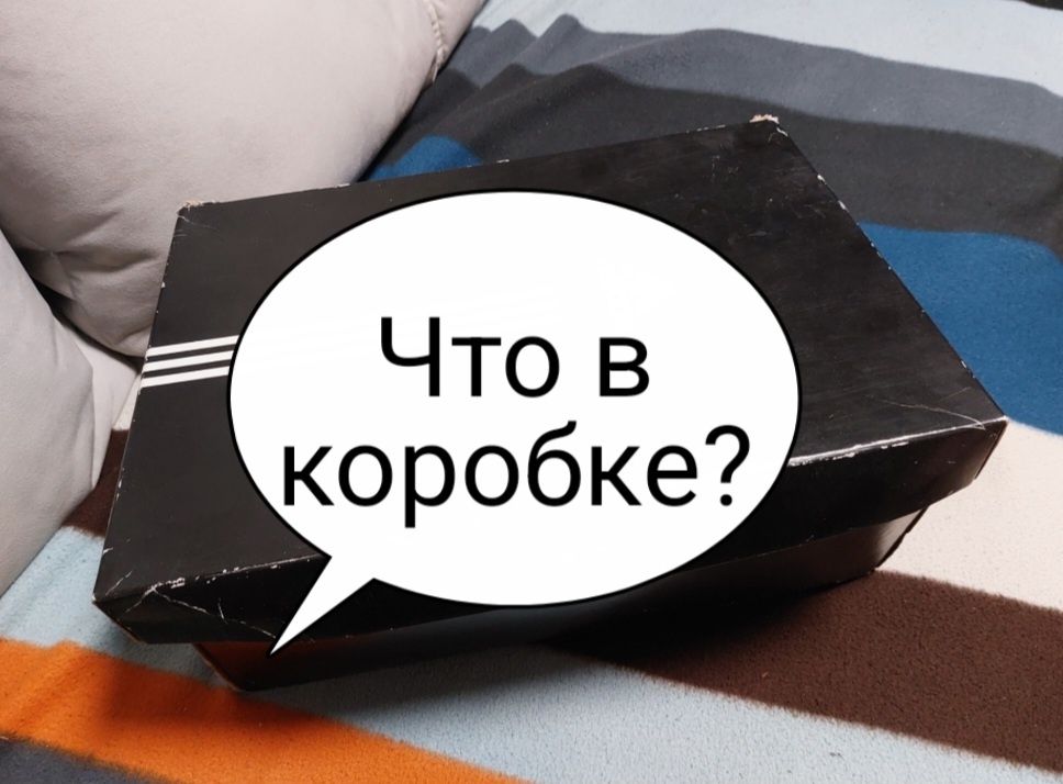Кто-то: Кроссовки адидас. Что же ещё. Я: Не угадали.
