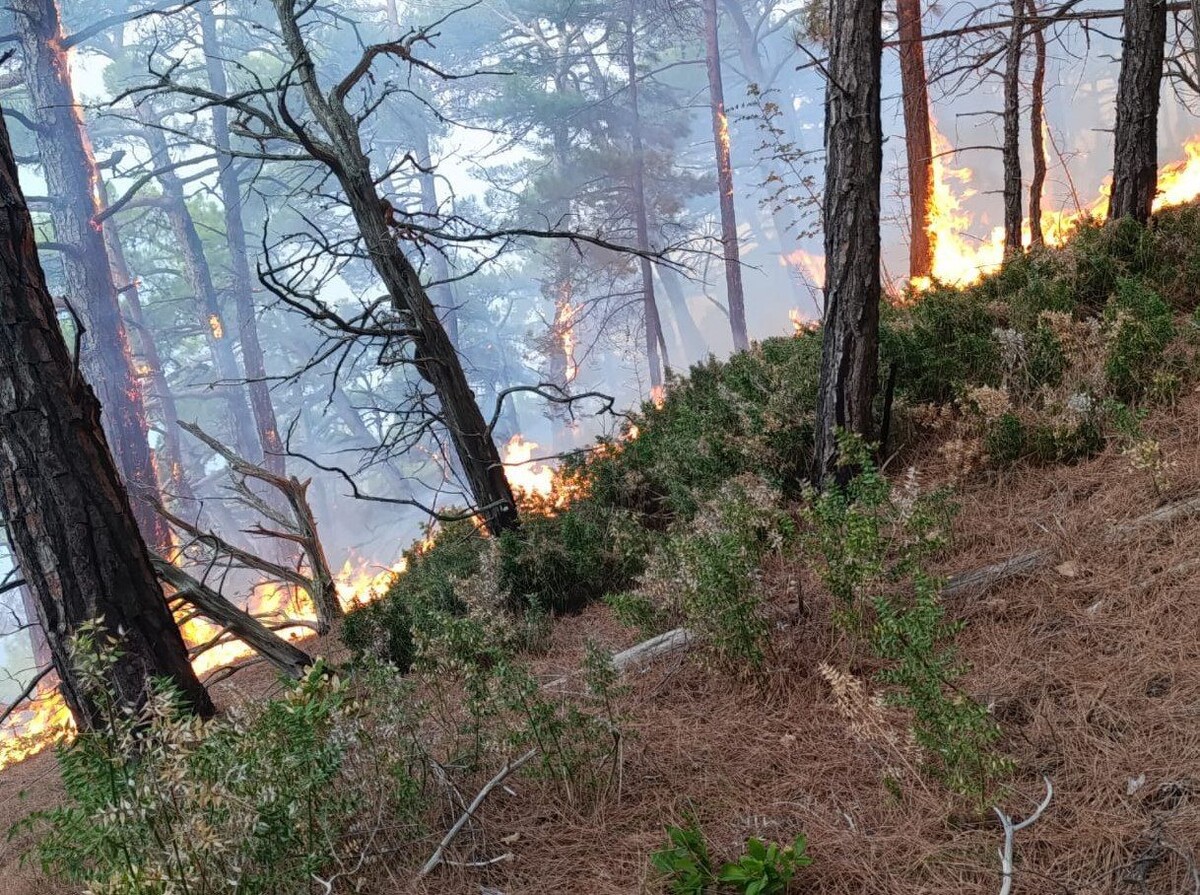     / Источник: © Оперативный штаб — Краснодарский край/Telegram