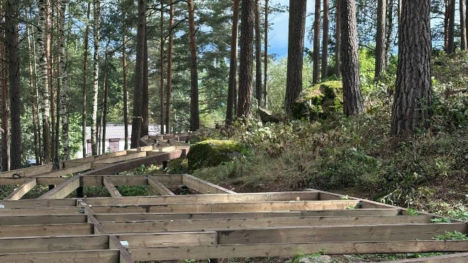 Фото: центр компетенций Ленобласти