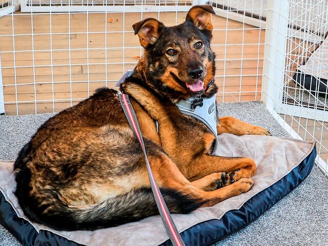    Фото: Москва 24/Лидия Широнина