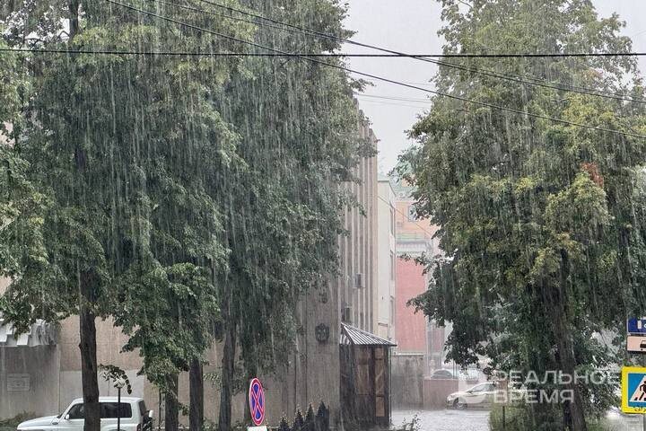   Дарья Пинегина / realnoevremya.ru