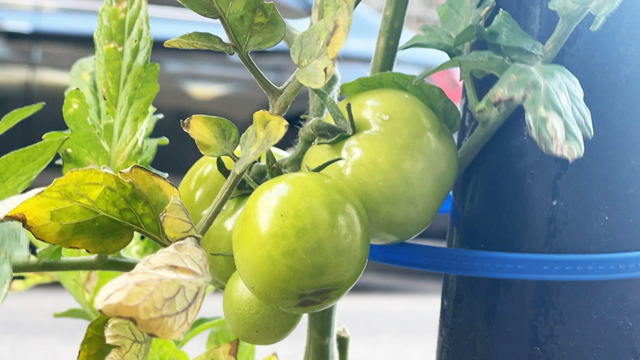    © АО "ТВ Центр"