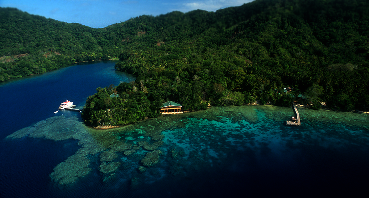 Новая Гвинея 