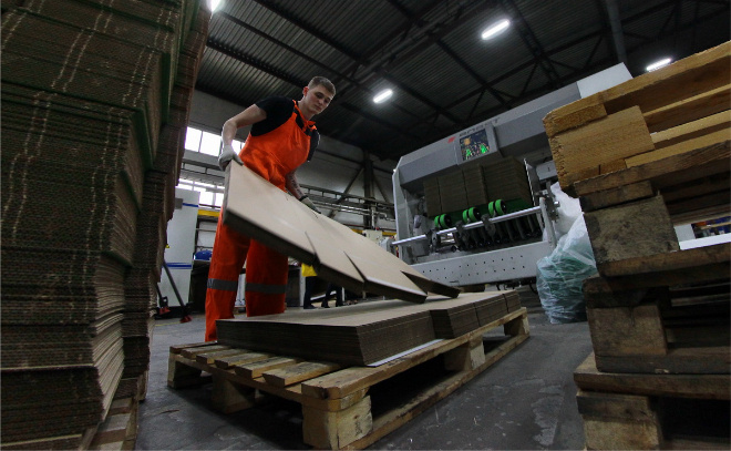    © Анастасия Илюшина / ЛенТВ24