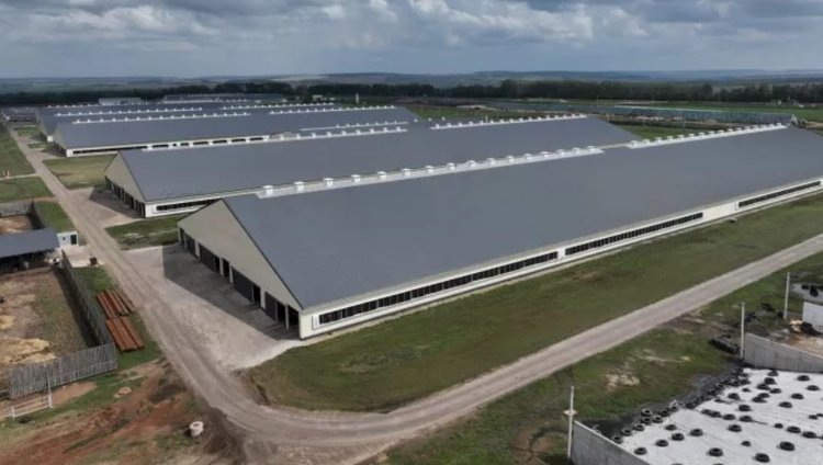    Фото: Минсельхоз Республики Башкортостан