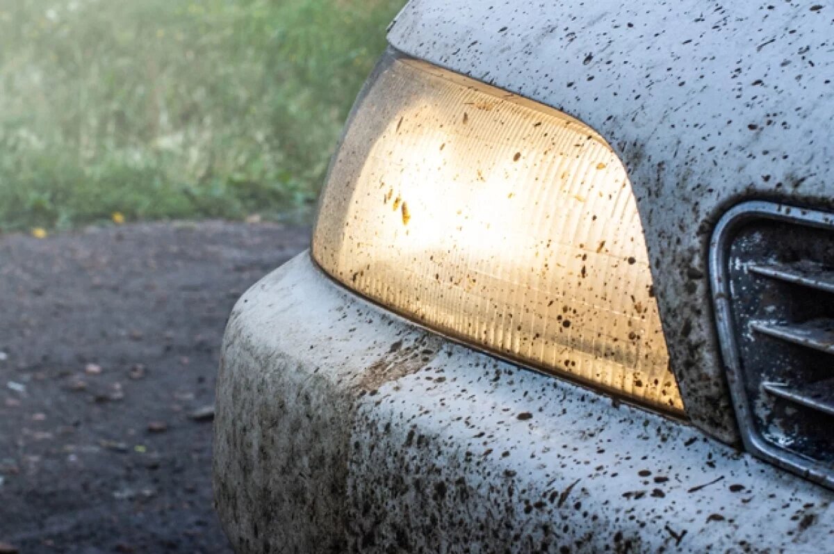    Юрист Краснов: дети, моющие фары в пробках, нарушают закон и рискуют жизнью