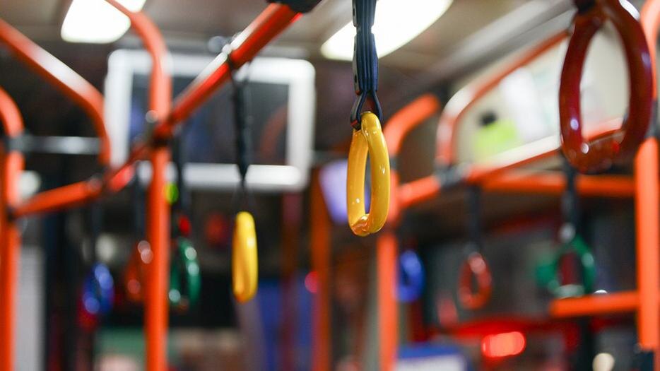    Фото: pixabay.com