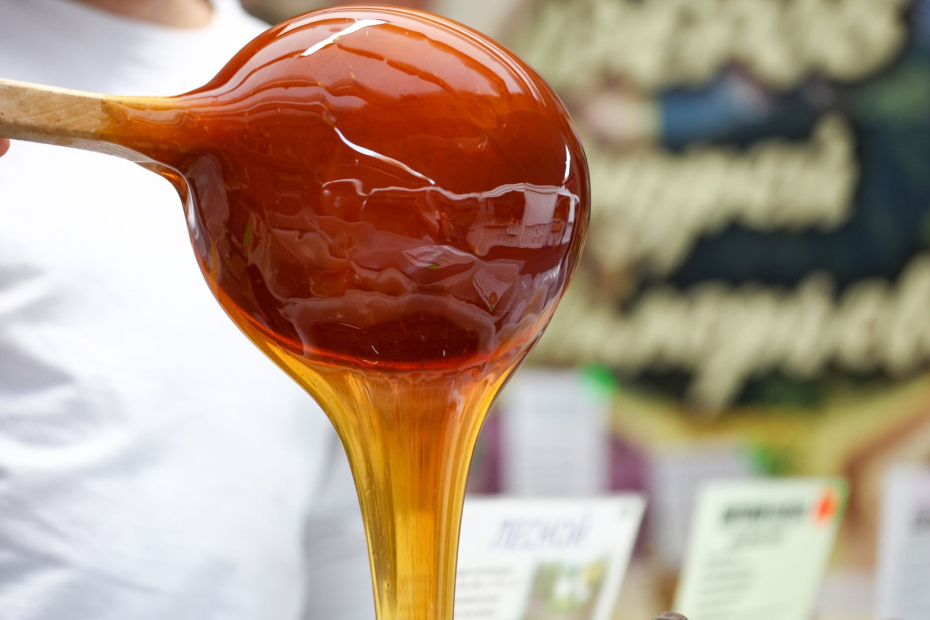    Наталья Шатохина/NEWS.ru