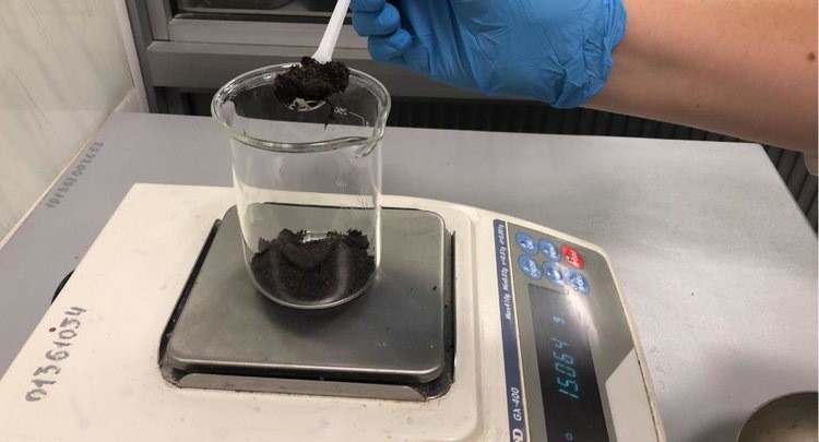    Фото: ФГБУ ЦОК АПК