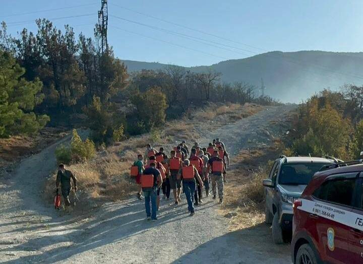    Фото: пресс-служба мэрии Геленджика