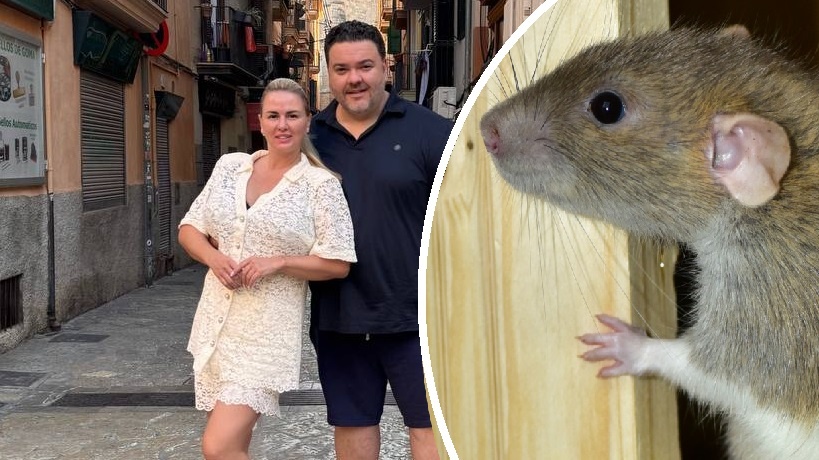 Фото: t.me/annsemenovich / тг-канал Анны Семенович; pxhere.com