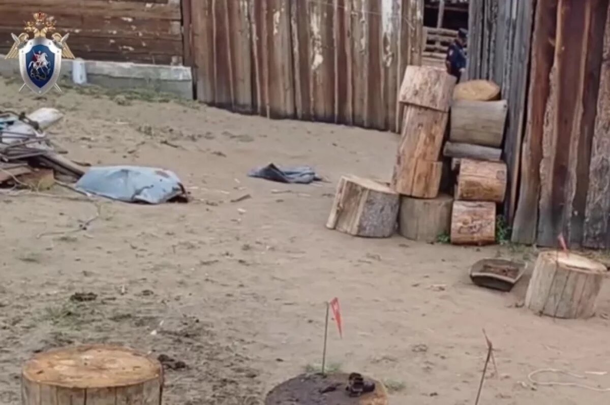    Подросток в Туве погиб от взрыва устройства, по которому он бил с другом