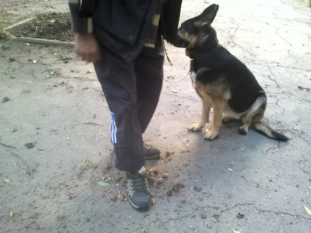 Фото автора