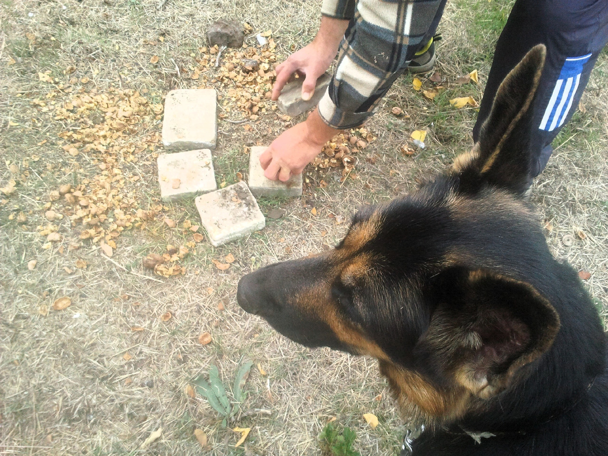 Фото автора