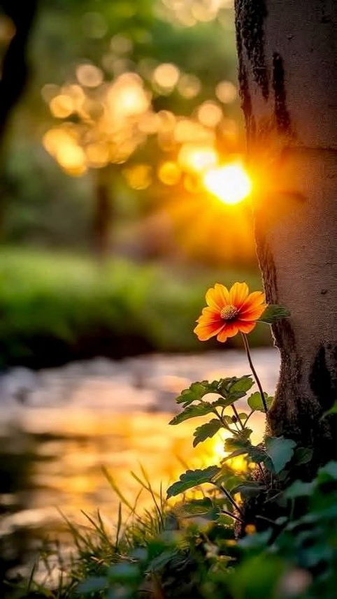 О метафоре. Алена Добронравова