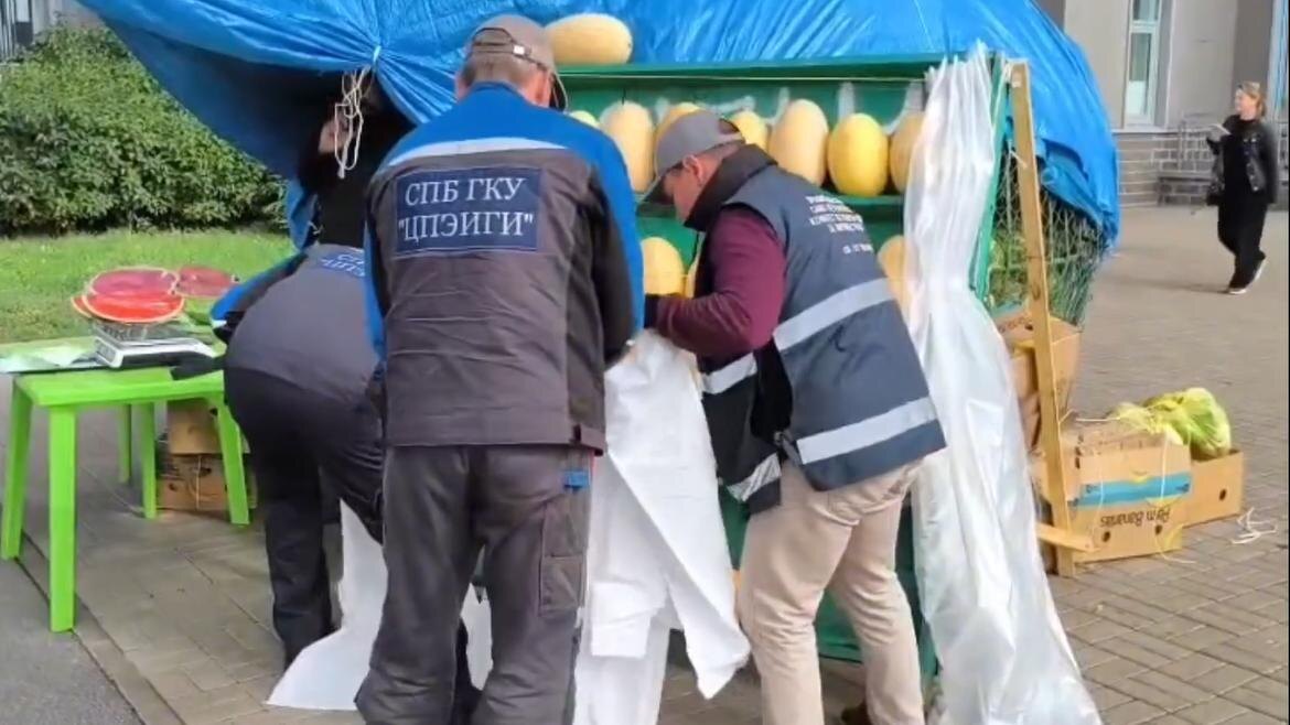    Фото: пресс-служба ККИ